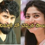 Sai Pallavi: స్టార్ హీరోనే రిజెక్ట్ చేసిన సాయి పల్లవి.. అసలు ఏమైందంటే..?