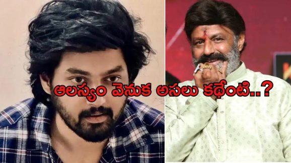 Mokshagna: పాపం మోక్షజ్ఞ విషయంలోనే ఎందుకిలా.. నిరాశలో ఫ్యాన్స్..!