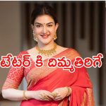 Honey Rose: డ్రెస్సింగ్ సెన్స్ పై అసభ్యకర కామెంట్స్.. దిమ్మతిరిగే కౌంటర్ ఇచ్చిన బ్యూటీ..!