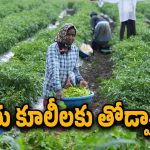 Batti Vikramarka : రైతు కూలీలకు సర్కార్ గుడ్ న్యూస్.. వారి ఖాతాల్లో రూ.12 వేలు ఎప్పటి నుంచి అంటే..