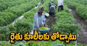 January 2025 Mobiles : రేపే ప్రారంభంకానున్న స్మార్ట్ జాతర.. ఈ వారంలోనే టాప్ 4 మెుబైల్స్ లాంఛ్