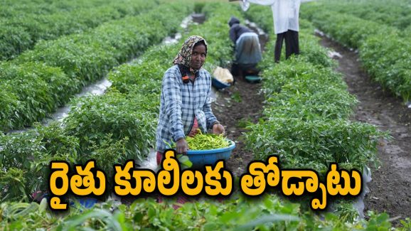 Batti Vikramarka : రైతు కూలీలకు సర్కార్ గుడ్ న్యూస్.. వారి ఖాతాల్లో రూ.12 వేలు ఎప్పటి నుంచి అంటే..