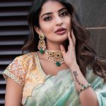Ananya Nagalla : చీరలో ఆహా అనిపిస్తున్న అనన్య నాగళ్ల.. కుర్రాళ్లు ఫిదా..