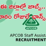 APCOB Jobs: గుడ్ న్యూస్.. ఈ జిల్లాల్లో ఉద్యోగాలు.. ఇంకా వారం రోజులే గడువు