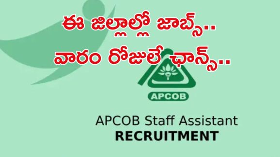 APCOB Jobs: గుడ్ న్యూస్.. ఈ జిల్లాల్లో ఉద్యోగాలు.. ఇంకా వారం రోజులే గడువు