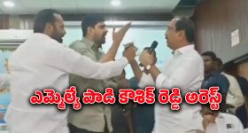 BRS on Kaushik Reddy: పవర్ పోయినా పొగరు తగ్గలేదట.. ఆ ఎమ్మేల్యేపై మండిపడుతున్న నెటిజన్స్