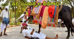 Basavannala Life Story: గంగిరెద్దులను ఆడించే బసవన్నల జీవితం ఎలా ఉంటుందో తెల్సా..?