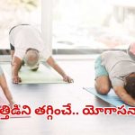 Yoga For Stress: ఒత్తిడిని తగ్గించే.. యోగాసనాలు ఇవే !