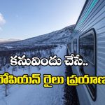European Sleeper Trains: బెస్ట్ యూరోపియన్ స్లీపర్ రైళ్లు ఇవే, లైఫ్ లో ఒక్కసారైనా ఈ జర్నీ చేయాల్సిందే గురూ!
