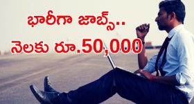 BHEL Jobs: భారీగా ఉద్యోగాలు.. ఈ అర్హతలుంటే చాలు.. నెలకు అక్షరాల రూ.50,000
