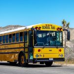 School Bus Colour: స్కూలు బస్సులన్నీ పసుపు రంగులోనే ఎందుకు ఉంటాయి? వేరే రంగు ఎందుకు వేయరు?