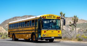 School Bus Colour: స్కూలు బస్సులన్నీ పసుపు రంగులోనే ఎందుకు ఉంటాయి? వేరే రంగు ఎందుకు వేయరు?