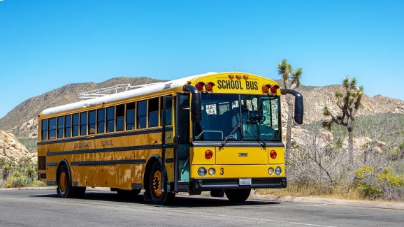 School Bus Colour: స్కూలు బస్సులన్నీ పసుపు రంగులోనే ఎందుకు ఉంటాయి? వేరే రంగు ఎందుకు వేయరు?