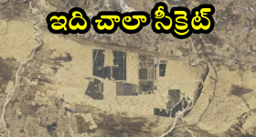 Liquor sales in telugu States: న్యూ ఇయర్ ఫస్ట్ రోజే.. రికార్డ్ బద్దలు కొట్టిన మద్యం ప్రియులు..