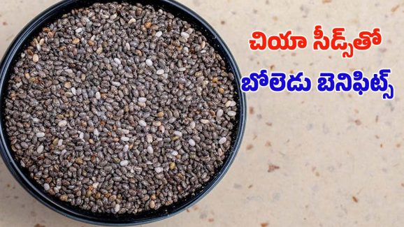 Chia Seeds: చియా సీడ్స్ తింటున్నారా ? తప్పకుండా ఈ విషయాలు తెలుసుకోవాల్సిందే !
