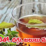 Home Remedies: దగ్గు, జలుబుతో ఇబ్బంది పడుతున్నారా ? వీటితో ప్రాబ్లమ్ సాల్వ్