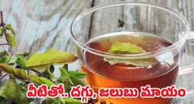 Addanki On Bjp: బీజేపీపై అద్దంకి దయాకర్ ఫైర్.. బయట పెట్టిన లోగుట్టు