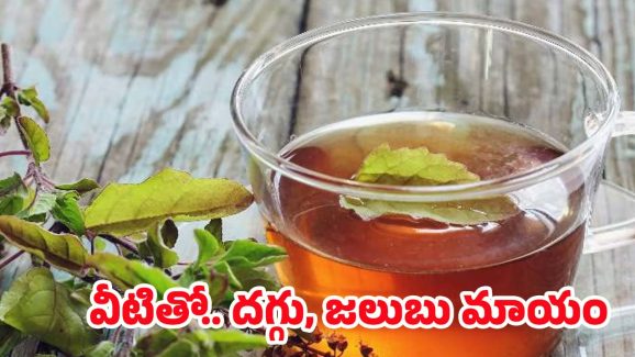 Home Remedies: దగ్గు, జలుబుతో ఇబ్బంది పడుతున్నారా ? వీటితో ప్రాబ్లమ్ సాల్వ్