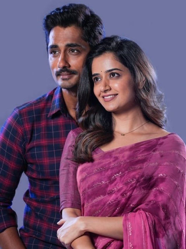 సంక్రాంతికి సినిమాల సందడి.. ఓటీటీలో విడుదలయిన సినిమాలు ఇవే..