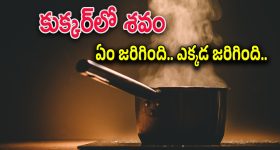 Chhaava Trailer: మరాఠా సామ్రాజాన్ని కాపాడడం కోసం పంజా విసిరిన విక్కీ కౌశల్.. ‘ఛావా’ ట్రైలర్ మామూలుగా లేదుగా.!
