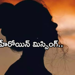 Tollywood Heroine : రెండేళ్లుగా కనిపించకుండా పోయిన హీరోయిన్..? ఇప్పుడేం చేస్తుందంటే..?
