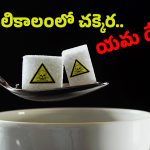 Food for Diabetics: మీ ఒంట్లో ‘చక్కెర’ ఉందా? అయితే.. చలికాలంలో ఈ ఫుడ్ తింటే బెటర్, లేకపోతే…