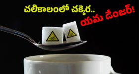 Food for Diabetics: మీ ఒంట్లో ‘చక్కెర’ ఉందా? అయితే.. చలికాలంలో ఈ ఫుడ్ తింటే బెటర్, లేకపోతే...