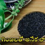 Basil Seeds: తులసి గింజలతో.. ఈ వ్యాధులన్నీ పరార్