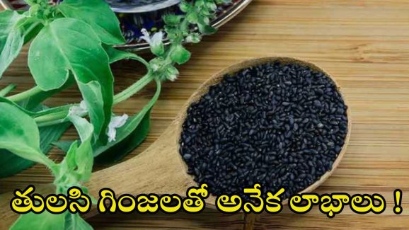 Basil Seeds: తులసి గింజలతో.. ఈ వ్యాధులన్నీ పరార్