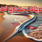Doomsday fish: ఒడ్డుకు కొట్టుకొచ్చిన ఆ చేప.. ఇక విధ్వంసమేనా?