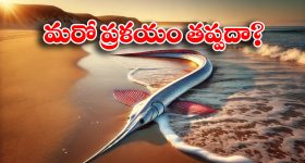 Doomsday fish: ఒడ్డుకు కొట్టుకొచ్చిన ఆ చేప.. ఇక విధ్వంసమేనా?