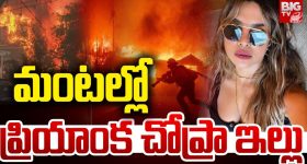Priyanka Chopra: అమెరికాలో వేగంగా వ్యాపిస్తున్న కార్చిచ్చు.. మంటల్లో ప్రియాంక చోప్రా ఇల్లు