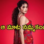 Anupama Parameswaran: ఎప్పటికీ ప్రేమిస్తాను అనే మాట అతిపెద్ద అబద్ధం.. అనుపమ హార్ట్ బ్రేక్ అయ్యిందా.?
