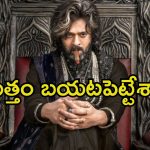 The Raja Saab: జపాన్‌లో ఆడియో లాంచ్, ముగ్గురు హీరోయిన్స్‌తో స్పెషల్ సాంగ్.. ‘రాజా సాబ్’ ప్లానింగ్ బయటపడిందిగా.!