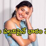 Sai Pallavi: సాయి పల్లవి బాలీవుడ్ ఎంట్రీ.. ఆ వారసుడి కెరీర్‌ను కాపాడుతుందా.?