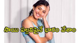Sai Pallavi: సాయి పల్లవి బాలీవుడ్ ఎంట్రీ.. ఆ వారసుడి కెరీర్‌ను కాపాడుతుందా.?
