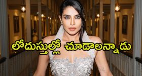 Priyanka Chopra: దర్శకుడు అలా చూపించమన్నాడు, డిప్రెషన్‌లోకి వెళ్లిపోయా.. ప్రియాంక చోప్రా కామెంట్స్