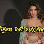 Sreeleela: బాలీవుడ్ డెబ్యూకు సిద్ధమయిన శ్రీలీల.. యంగ్ హీరోతో రొమాన్స్‌కు రెడీ