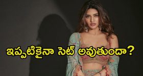 Sreeleela: బాలీవుడ్ డెబ్యూకు సిద్ధమయిన శ్రీలీల.. యంగ్ హీరోతో రొమాన్స్‌కు రెడీ