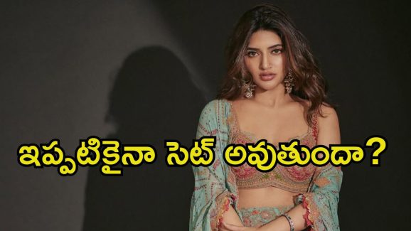 Sreeleela: బాలీవుడ్ డెబ్యూకు సిద్ధమయిన శ్రీలీల.. యంగ్ హీరోతో రొమాన్స్‌కు రెడీ