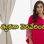 Meenakshi Chaudhary: ‘సంక్రాంతికి వస్తున్నాం’తో నా కల నెరవేరింది, మొదటిసారి అలా.. సంతోషంలో మీనాక్షి