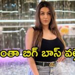 Yamini Malhotra: బిగ్ బాస్‌కు వెళ్లొచ్చాక అద్దెకు ఇల్లు కూడా ఇవ్వడం లేదు.. నటి ఆవేదన
