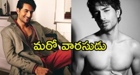 Sehwag - Grey Divorce: 'గ్రే'డివర్స్ అంటే ఏంటీ.. సెహ్వాగ్ తీసుకోబోయేది ఇలాంటి విడాకులేనా?