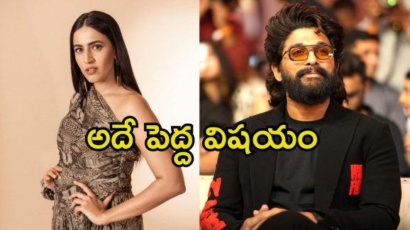 Niharika About Allu Arjun Case: రేవతి మృతిపై మెగా డాటర్ రియాక్షన్.. బన్నీ ఇప్పుడిప్పుడే మారుతున్నాడు