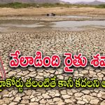 Compensation to Farmers : వారు రైతులే కాదన్న నాటి సర్కార్.. సాయం కోసం ఏళ్లుగా ఎదురు చూపులు..