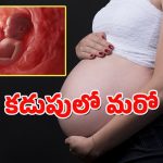 Maharashtra News : కడుపులోని గర్భస్థ శిశువు కడుపులో మరో బిడ్డ.. వైద్యులే షాక్ అయిన ఘటన..
