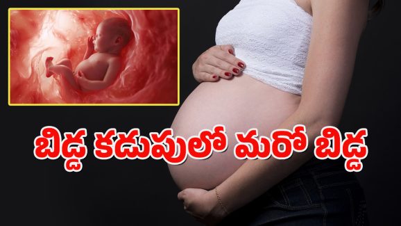 Maharashtra News : కడుపులోని గర్భస్థ శిశువు కడుపులో మరో బిడ్డ.. వైద్యులే షాక్ అయిన ఘటన..
