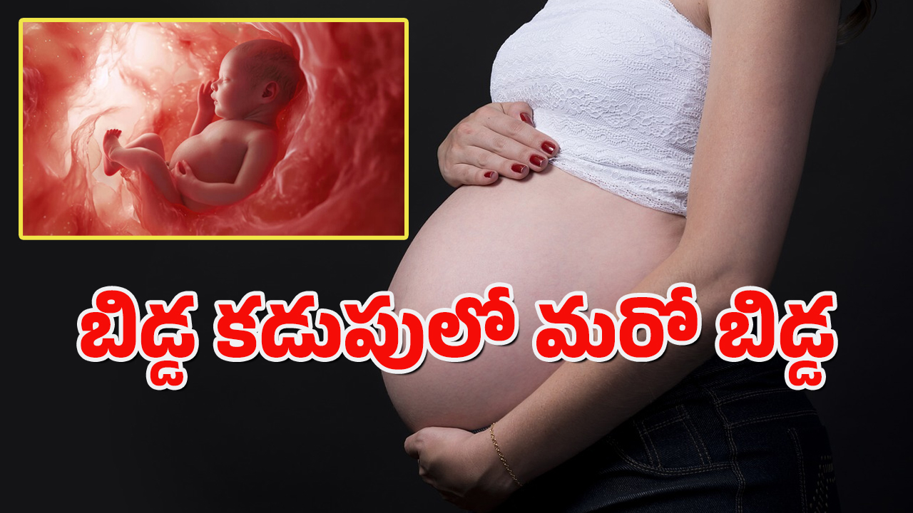 Maharashtra News : కడుపులోని గర్భస్థ శిశువు కడుపులో మరో బిడ్డ.. వైద్యులే షాక్ అయిన ఘటన..