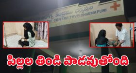 Research Associate Jobs: INCOIS‌లో రీసెర్చ్ అసోసియేట్ ఉద్యోగాలు.. దరఖాస్తు పూర్తి వివరాలివే..