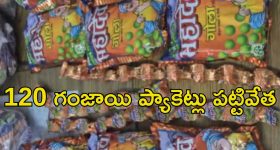 Hyderabad News: హైదరాబాద్‌లో రూ.2లక్షల విలువైన గంజాయి పట్టివేత..